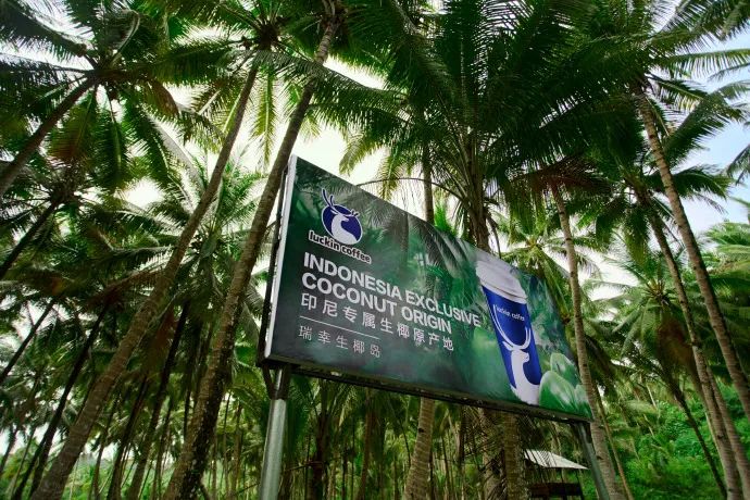 萬(wàn)億咖啡市場(chǎng)！來(lái)看瑞幸數(shù)字化戰(zhàn)略體系的構(gòu)建路徑與商業(yè)啟示