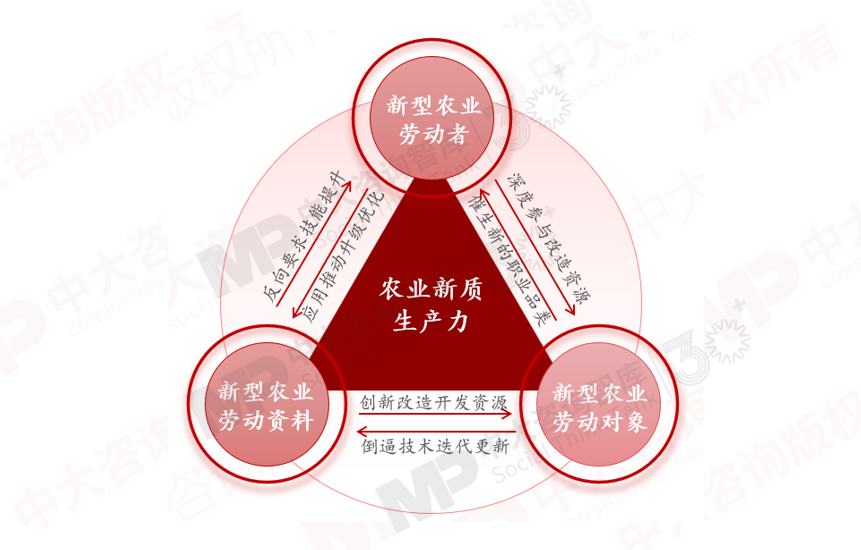 解碼農業新質生產力,農業發展如何從“新”出發 解碼農業新質生產力,農業發展如何從“新”出發