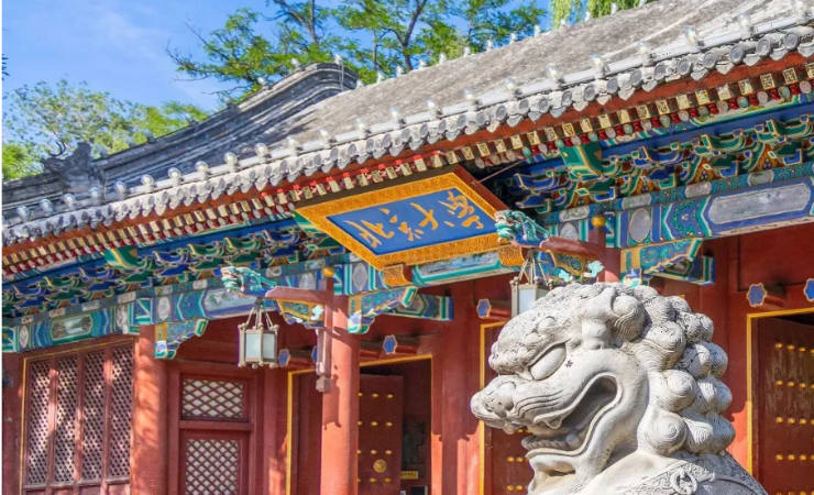 中大咨詢春招走進多個知名高校，以專業楫浪，與時代同頻