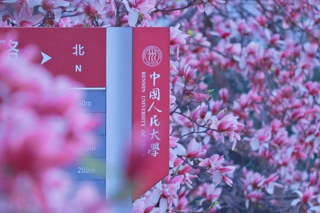 中大咨詢春招走進多個知名高校，以專業楫浪，與時代同頻