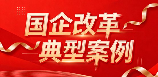 國企改革案例丨新疆機場集團企業管控及三項制度改革咨詢服務項目-中大咨詢項目案例