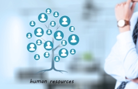 企業如何制定人力資源需求規劃——H礦的一種變通方法