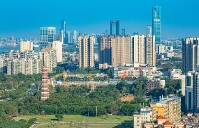 海珠區“十四五”總規評審會順利召開，項目成果飽受好評