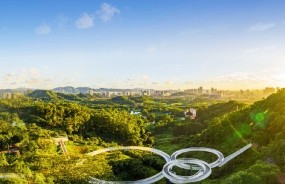 深圳市龍華區人民政府辦公室關于印發《深圳市龍華區支持區塊鏈產業發展若干措施》的通知