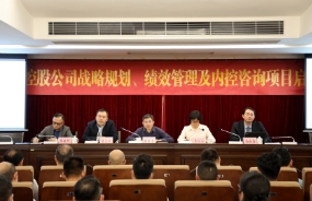 東莞控股公司戰略規劃、績效管理及內控咨詢項目啟動會議順利召開