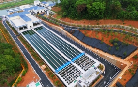 中大咨詢與廣州市某水務公司“內部控制管理項目交流會”日前舉行