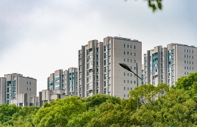 正式啟動項目激勵機制建設，助推朗通內驅動力增長