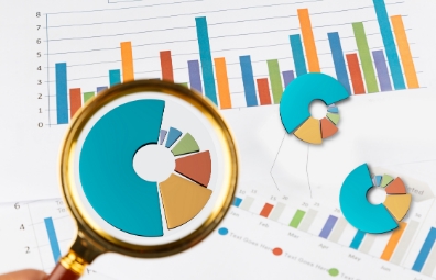 某區財政局年度預算分配與資金流平衡機制設計