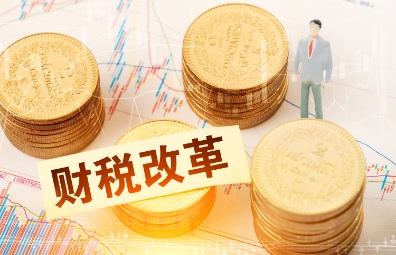 某區財稅局頂層設計與流程再造管理咨詢項目