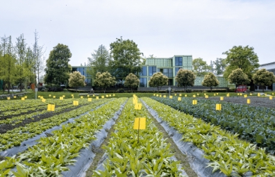 廣東某知名農業集團：績效管理體系設計咨詢