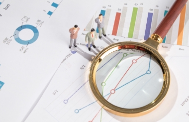 企業內部控制評價/審計咨詢