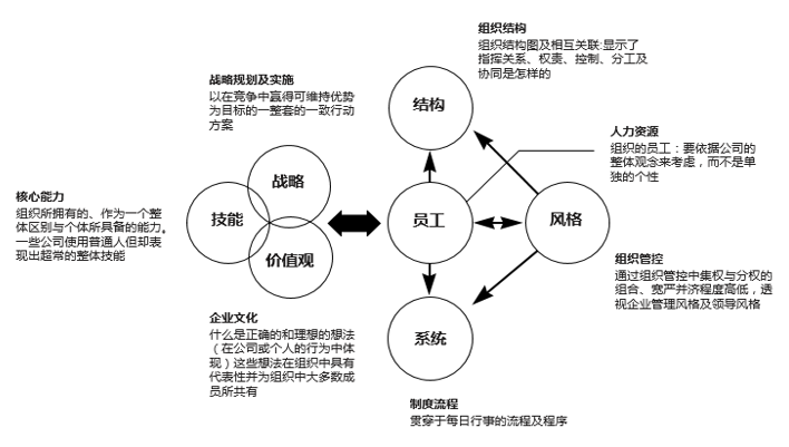 全面管理診斷 全面管理診斷