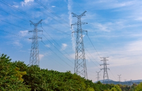 中大咨詢與廣州市某電纜實業有限公司就流程優化項目簽署合作協議