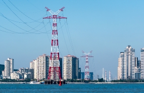 某大型省級電網公司領導人行動學習咨詢項目方案實施輔導工作坊