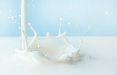 打造南國乳業第一品牌 | 某乳業品牌餐飲公司：運營及混合所有制改革