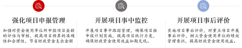 中大咨詢龍崗區園山街道財政辦2019年度全過程績效管理項目