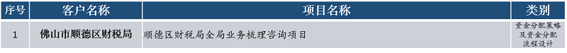 中大咨詢資金分配策略及資金分配流程設計