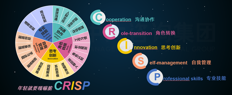 中大咨詢新員工CRISP能力素質(zhì)模型 中大咨詢新員工CRISP能力素質(zhì)模型