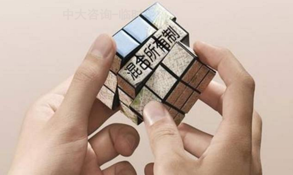 中大咨詢:混合所有制 中大咨詢:混合所有制