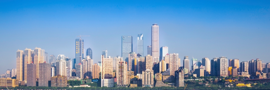 中大咨詢：中大咨詢助力重慶市南岸區(qū)國資國企改革發(fā)展“十四五”規(guī)劃進行時