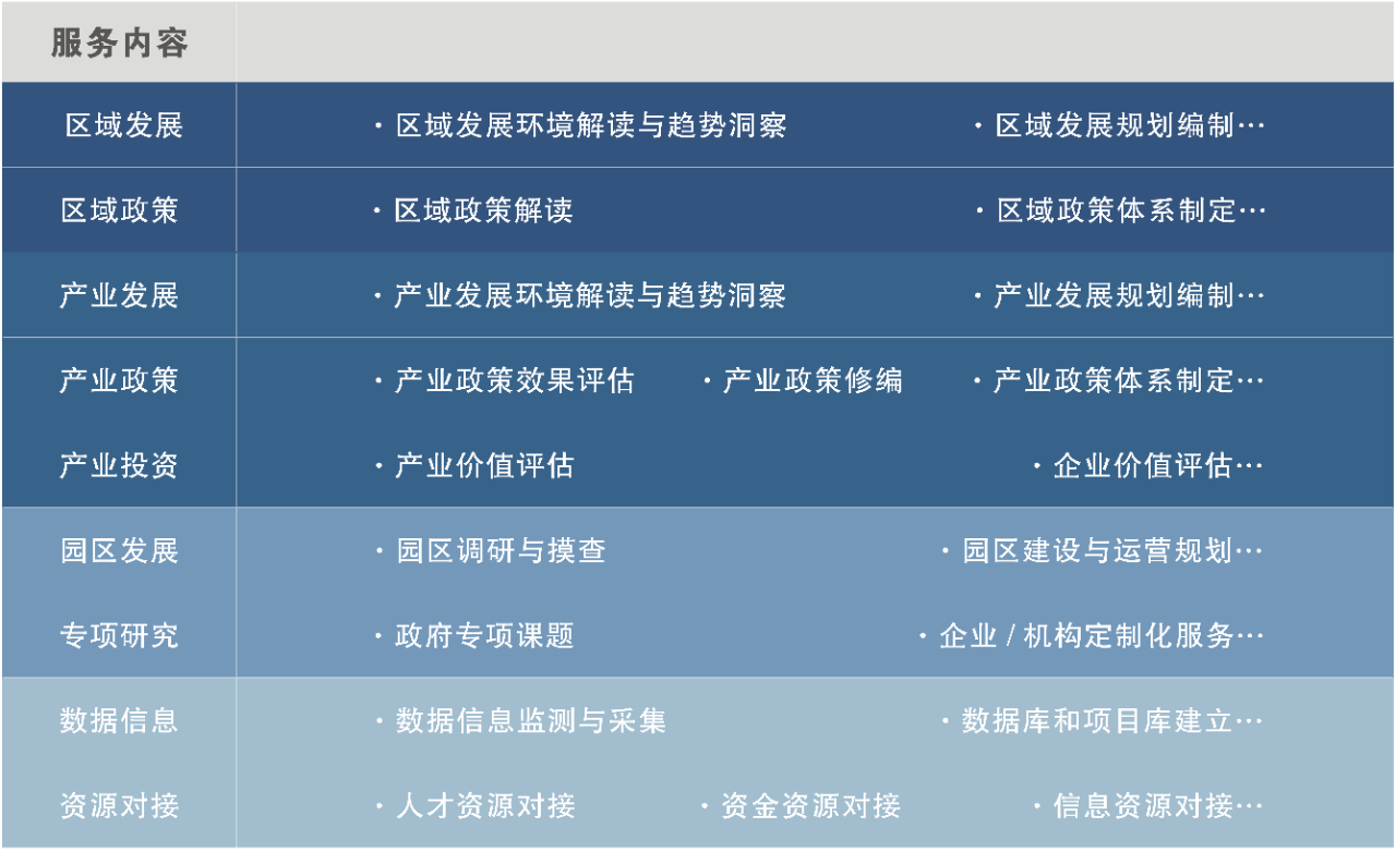 中大咨詢：武漢市國資國企改革發展“十四五”規劃項目專家評審會順利召開，中大咨詢對規劃內容作全面介紹