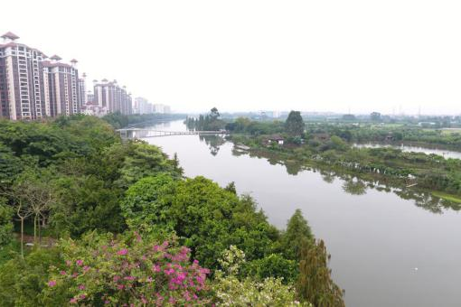 中大咨詢：順德高質量發展體制機制改革創新實驗區建設再結碩果，順德國資國企改革站上新臺階