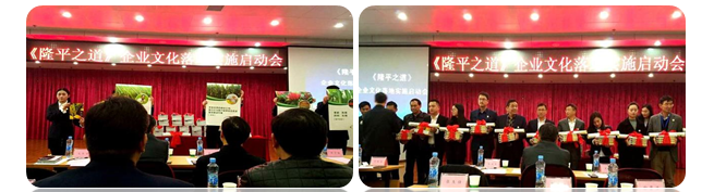 中大咨詢:傳承隆平之道,中大咨詢助力隆平高科落地企業(yè)文化體系 中大咨詢:傳承隆平之道,中大咨詢助力隆平高科落地企業(yè)文化體系