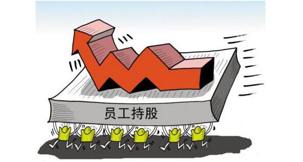 中大咨詢：員工持股