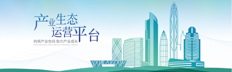 中大咨詢深福保集團“十四五”戰略規劃項目