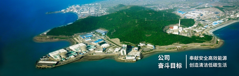 中大咨詢:某大型核電公司市值管理項(xiàng)目 中大咨詢:某大型核電公司市值管理項(xiàng)目