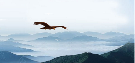 中大咨詢:在現(xiàn)代經(jīng)濟(jì)社會(huì)中,要如何建立現(xiàn)代企業(yè)制度呢? 中大咨詢:在現(xiàn)代經(jīng)濟(jì)社會(huì)中,要如何建立現(xiàn)代企業(yè)制度呢?