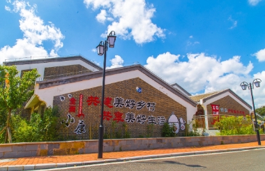 如何協同推動鄉村產業、人才、生態、文化、組織振興？