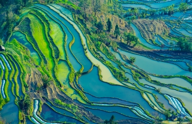 今年，“雙碳”建設將與供給側結構性改革協(xié)同推進！