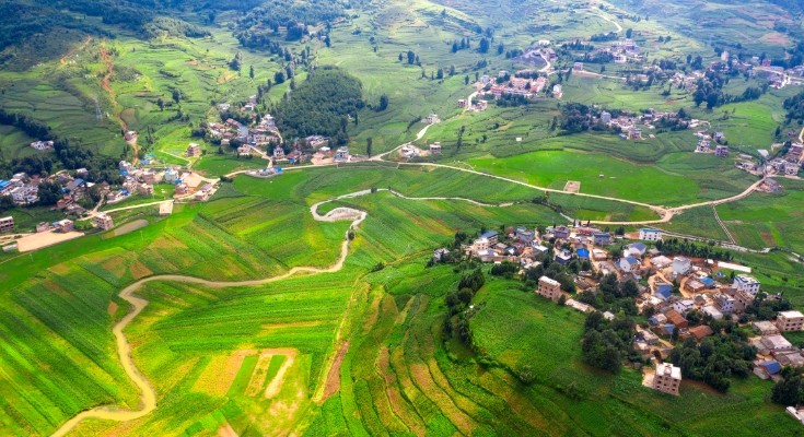 如何協同推動鄉村產業、人才、生態、文化、組織振興？