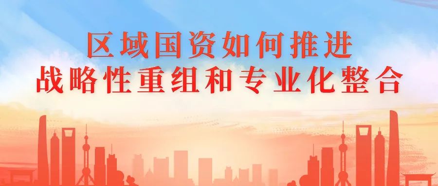 區(qū)域國資如何推進(jìn)戰(zhàn)略性重組和專業(yè)化整合