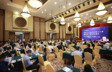 房地產行業分會成立大會暨房地產數字化峰會隆重召開！中大咨詢聯合發布200強房企數字化調研階段成果