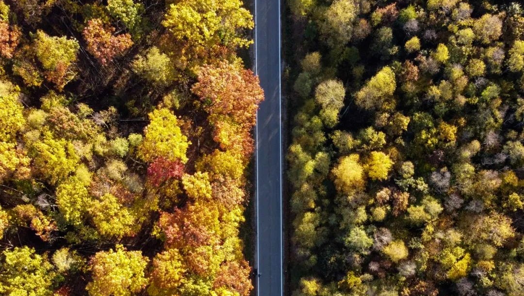 中大咨詢:雙碳 中大咨詢:雙碳