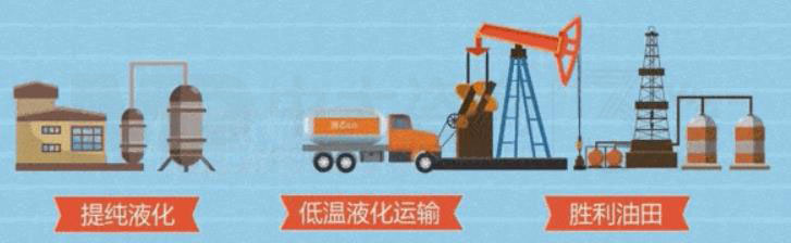 碳中和道路上的最強輔助?揭開“碳匯”的神秘面紗 碳中和道路上的最強輔助?揭開“碳匯”的神秘面紗