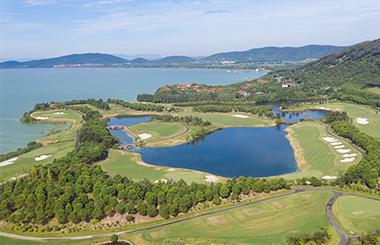 碳中和道路上的最強(qiáng)輔助？揭開“碳匯”的神秘面紗