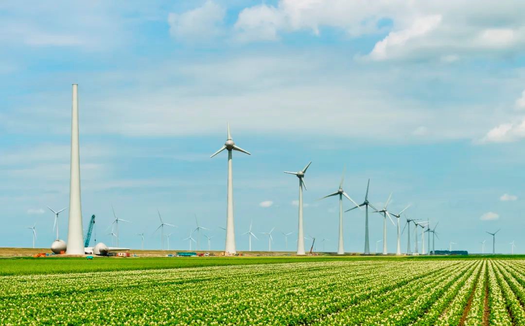 推動鄉村產業振興！中大咨詢入選第一批廣東省鄉村休閑產業發展智庫