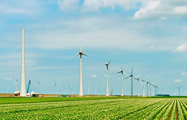 推動鄉村產業振興！中大咨詢入選第一批廣東省鄉村休閑產業發展智庫