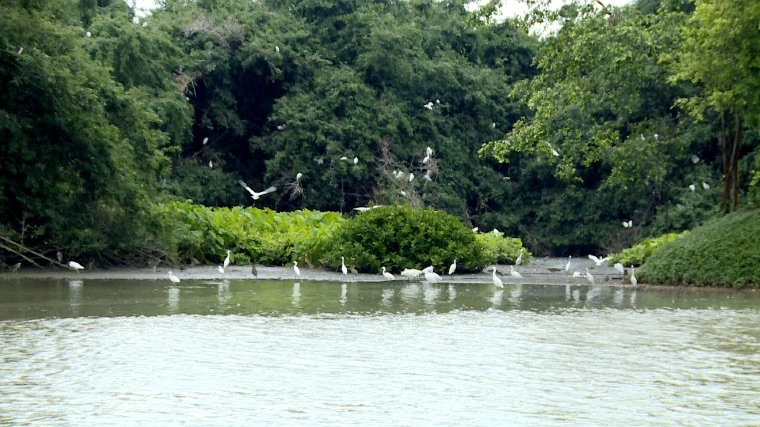 打造廣東省全域旅游示范區!中大咨詢助力江門新會開展景區管理體制改革工作 打造廣東省全域旅游示范區!中大咨詢助力江門新會開展景區管理體制改革工作