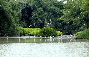 打造廣東省全域旅游示范區！中大咨詢助力江門新會開展景區管理體制改革工作