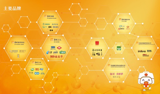 華潤醫藥板塊組織與人才效率提升整體服務 華潤醫藥板塊組織與人才效率提升整體服務