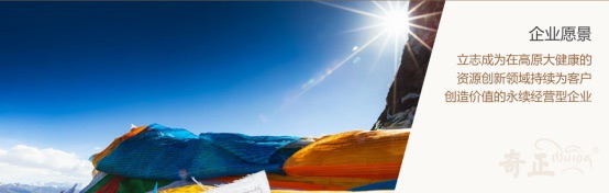 奇正集團人力資源體系整體提升及股權激勵服務 奇正集團人力資源體系整體提升及股權激勵服務