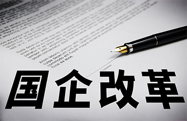 國(guó)企改革,國(guó)企改革三年行動(dòng),職業(yè)經(jīng)理人建設(shè) 國(guó)企改革,國(guó)企改革三年行動(dòng),職業(yè)經(jīng)理人建設(shè)