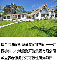 新設公司可行性研究