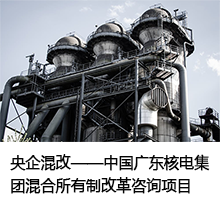 重組項目可行性研究 重組項目可行性研究