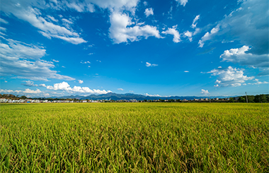 多領域助推！中大咨詢凝聚各方合力共促鄉村振興