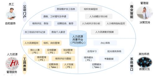 ▲資料來源：公開資料，中大咨詢研究院整理